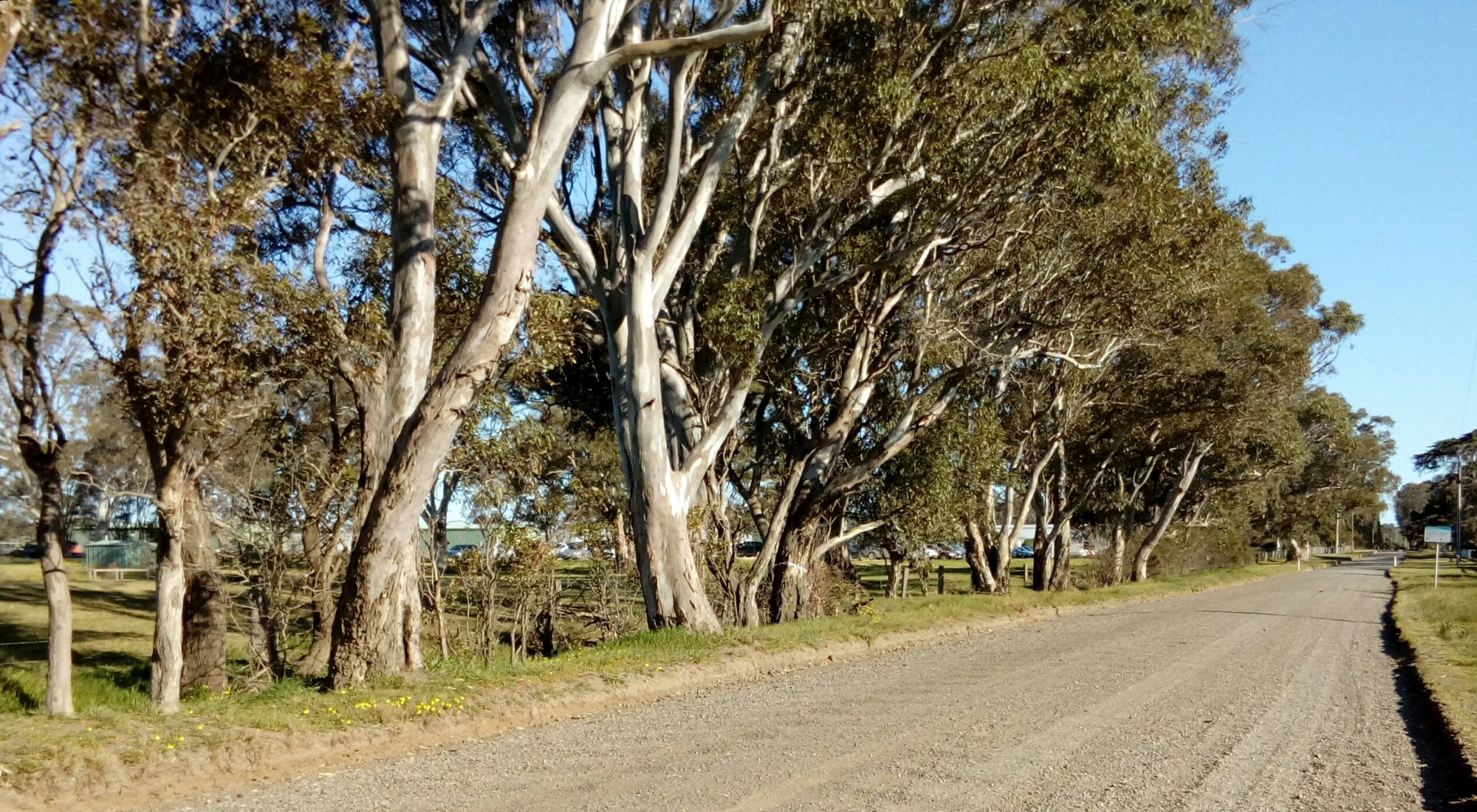 Green Gold! The investors betting on pot in a Victorian town