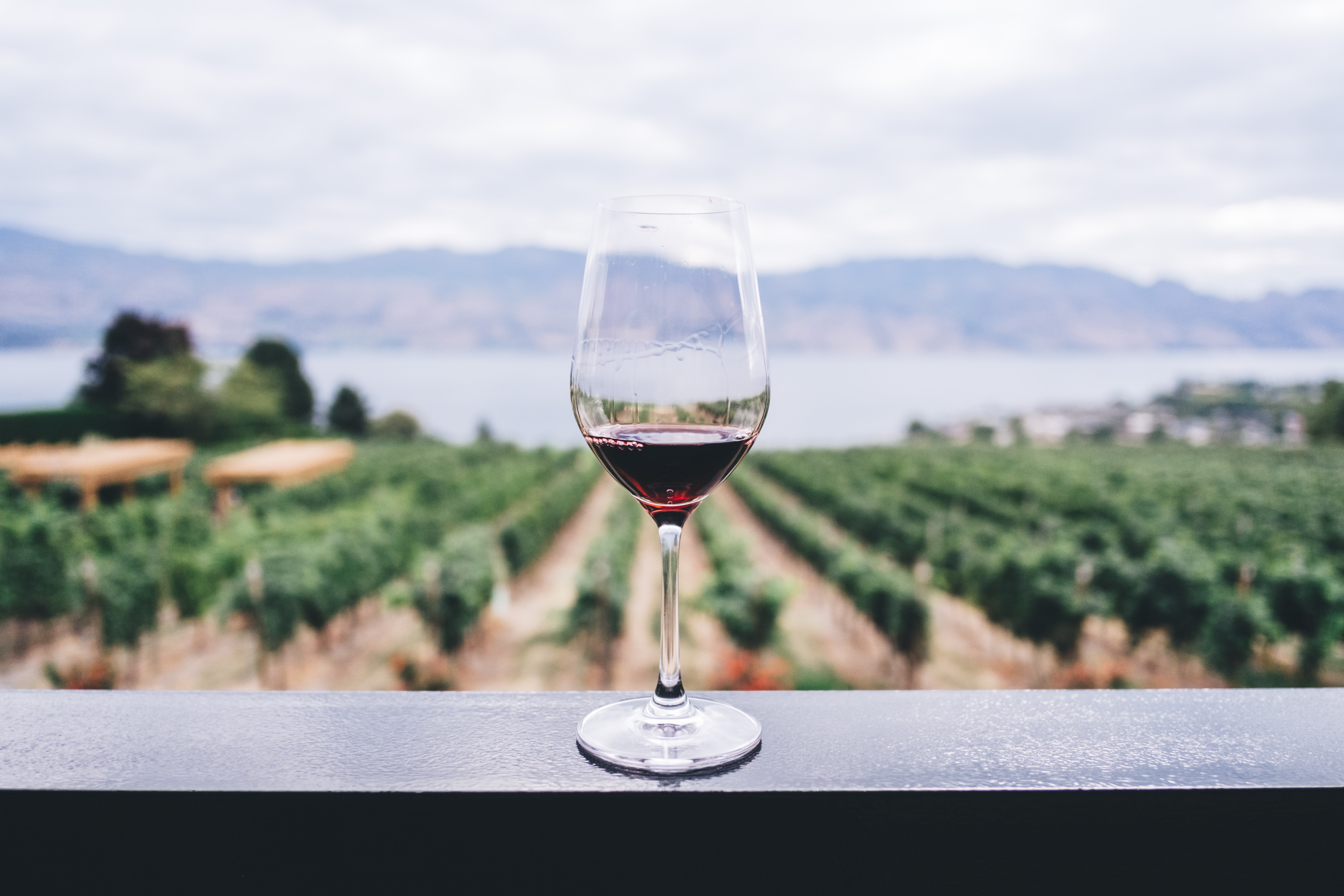 Photo: Unsplash