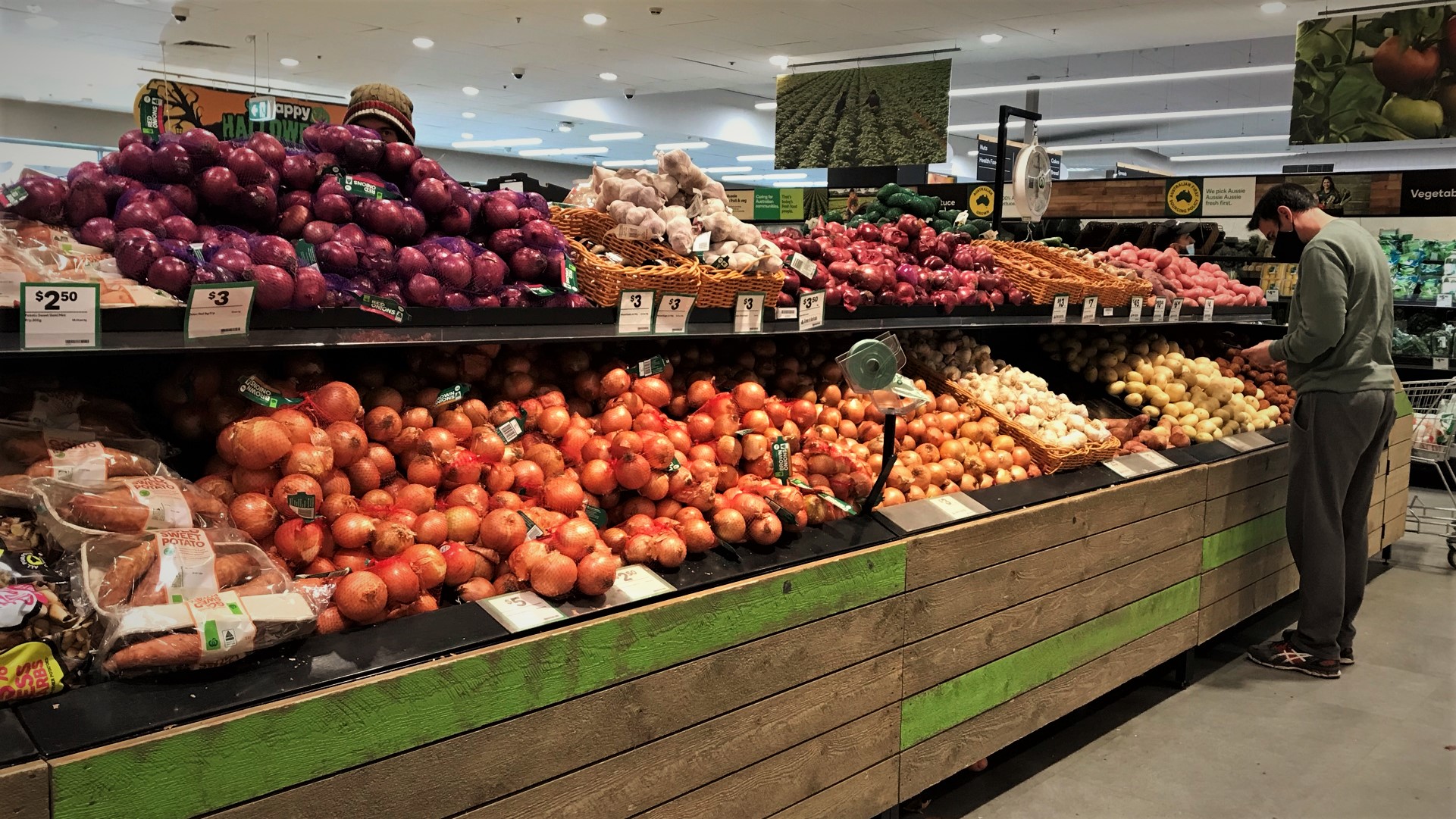 IMAGE: Higher fertiliser prices are eating into profits of supermarket onion suppliers. Image: Fia Walsh