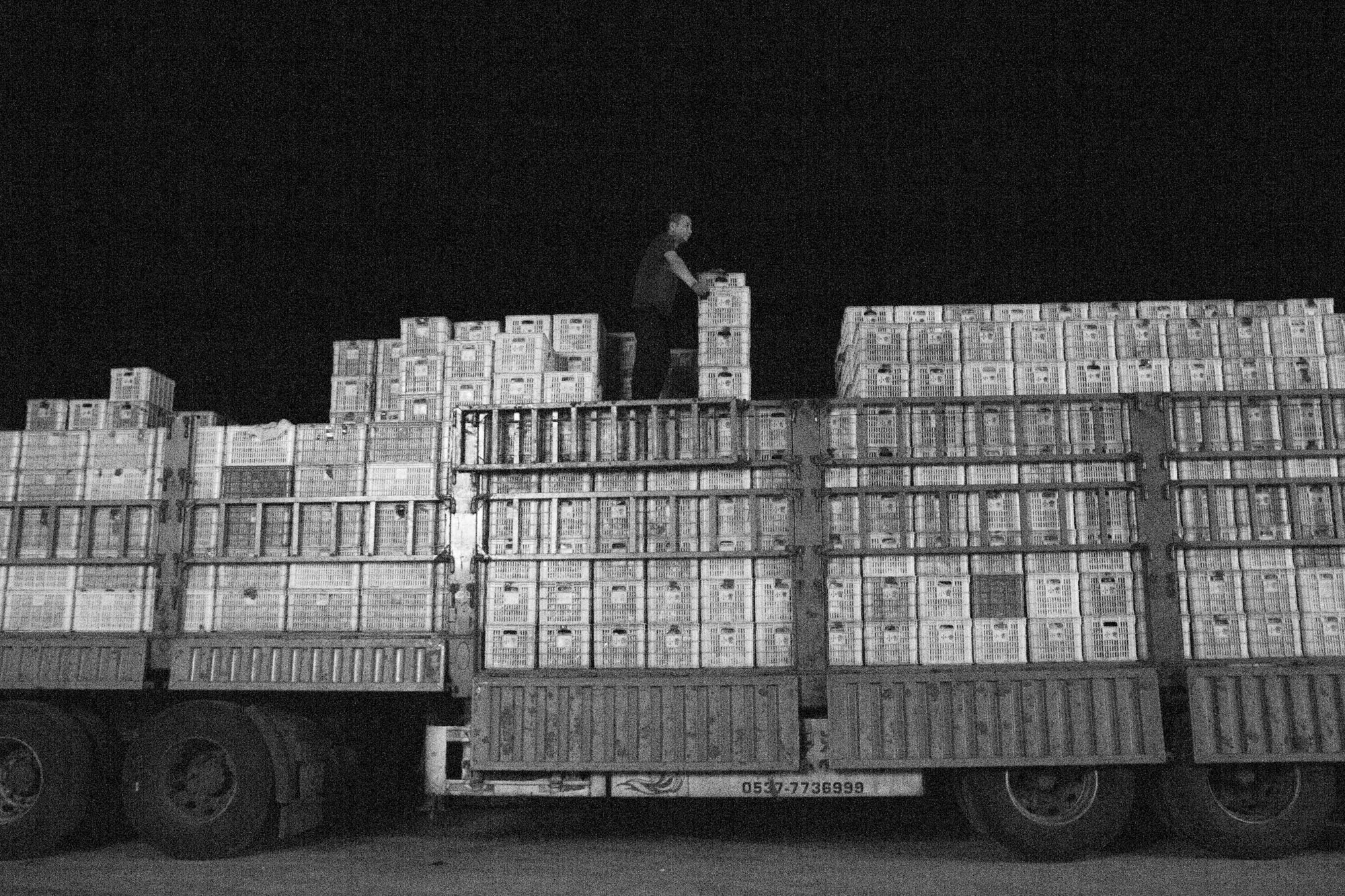 Workers work overnight at Chengbei Wet Market Workers work overnight at Chengbei Wet Market