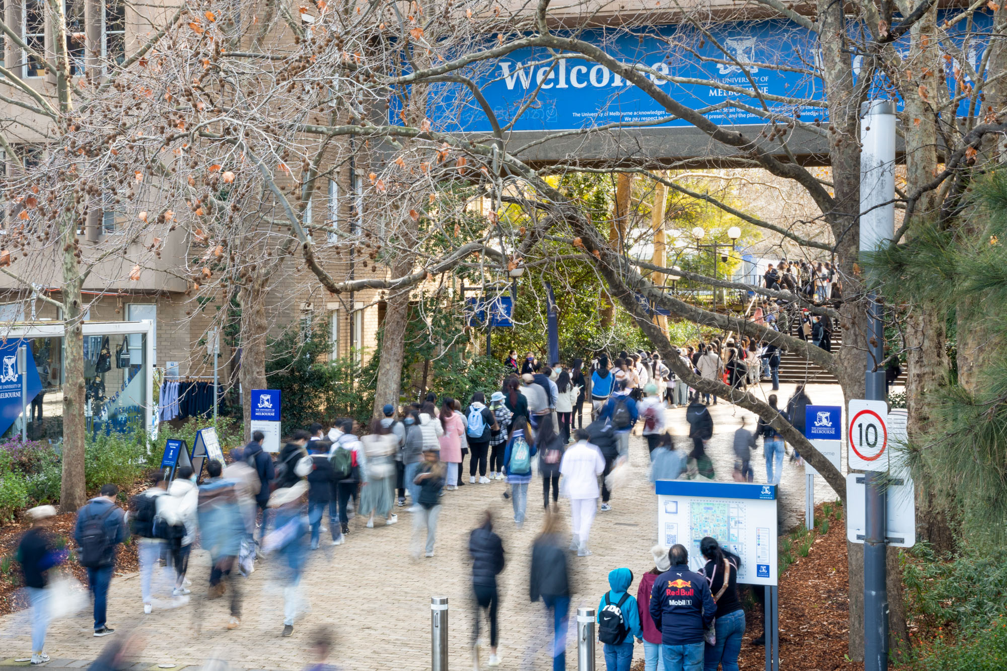 Before the pandemic, Melbourne was ranked as the number three destination for international students according to the QS Best Cities rankings. It presently sits at number five. Photo: Qiyun Liu.