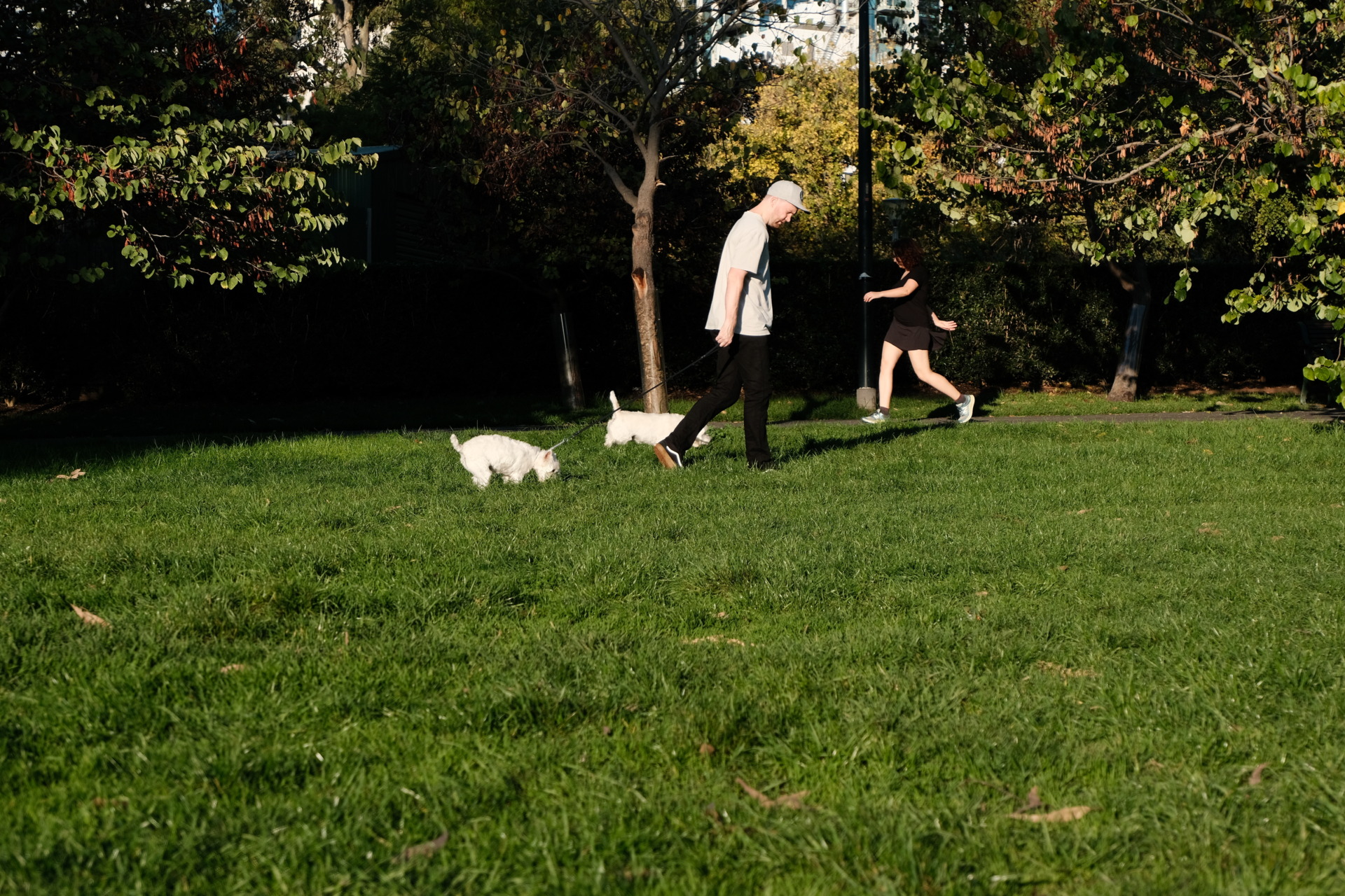 Pet owners playing with their dogs. Photo by Yiran Sun.