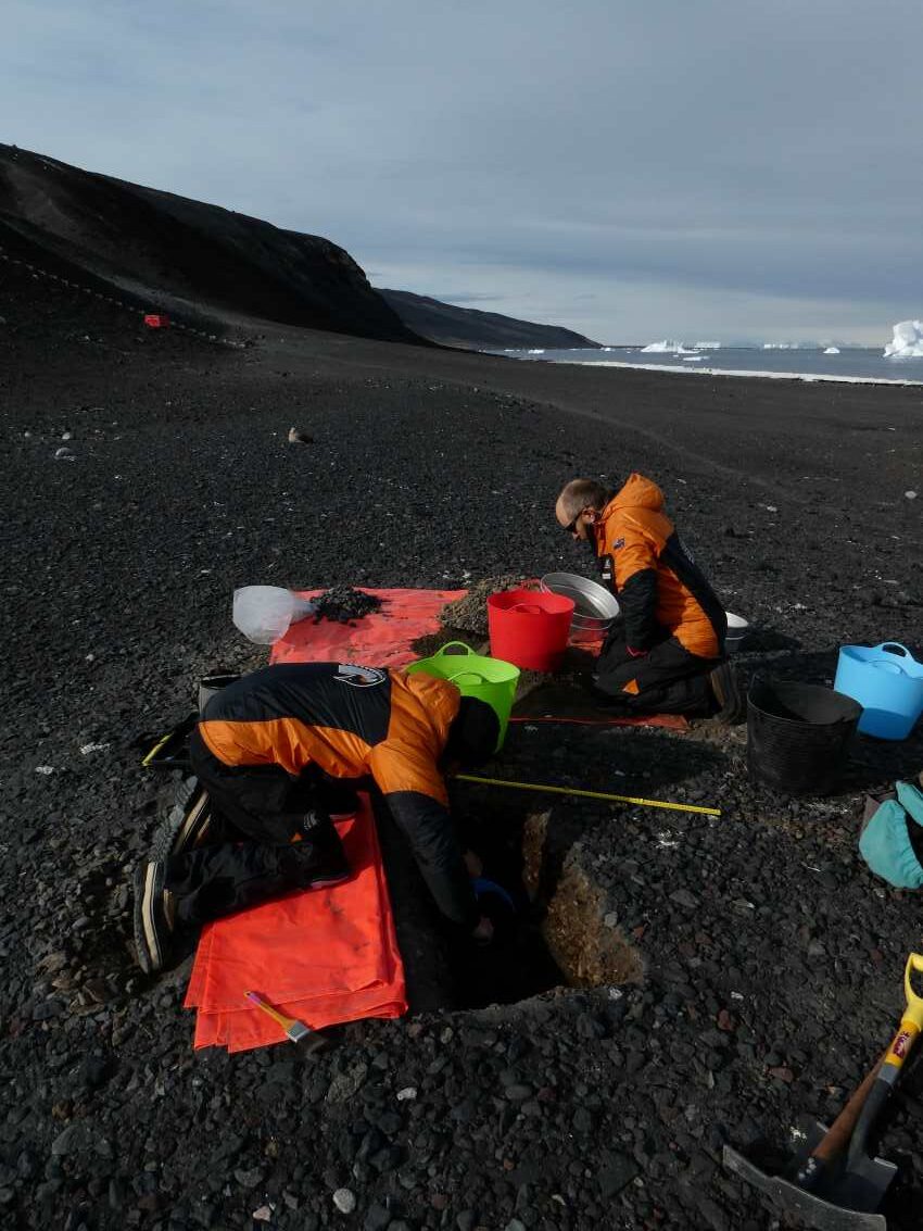 Excavation near Cape Bird colony, Ross Island: Credit: Jamie Wood