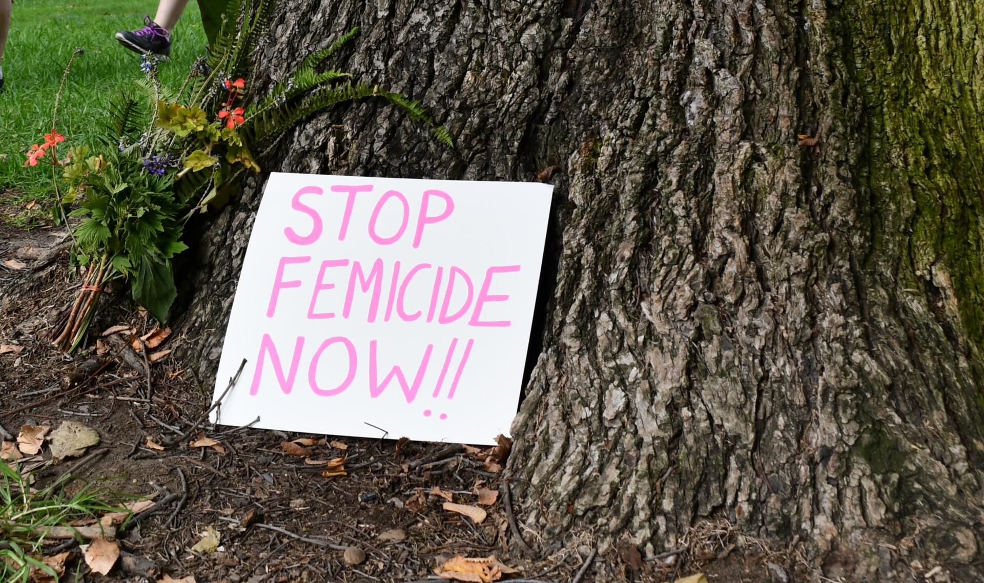 Femicide refers to the intentional killing of women and girls motivated by her gender. It is the most extreme form of gender based violence, according to UN Women. Photo by Ashleigh Wyss
