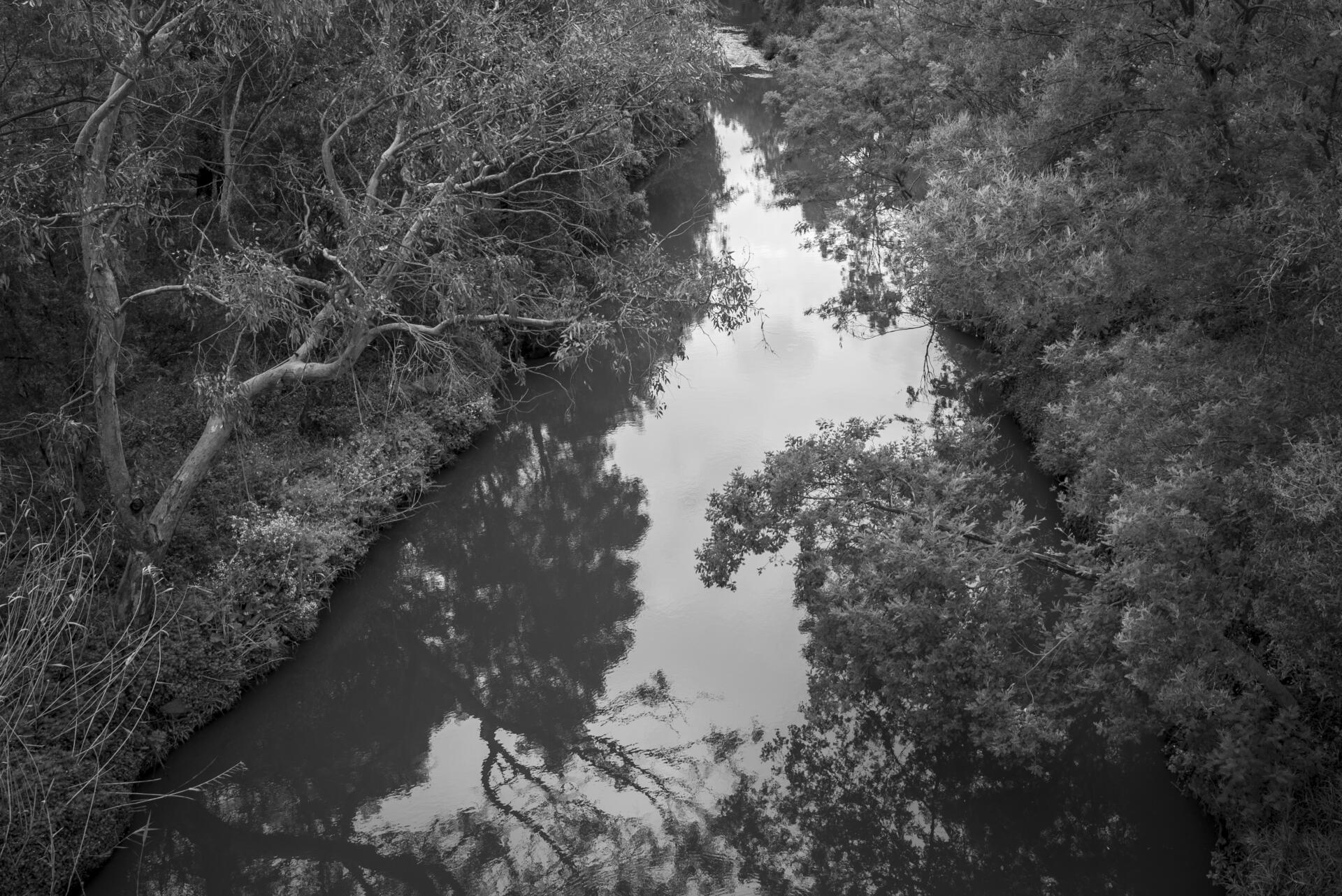 The Merri Creek seen from Blyth Street, Brunswick East. The creek runs from Wallan all the way through Melbourne&rsquo;s northern suburbs. Many locals use the creek trail for exercise, commuting and leisure. Most creek maintenance is done by community volunteers. Photo by Ruby Perryman