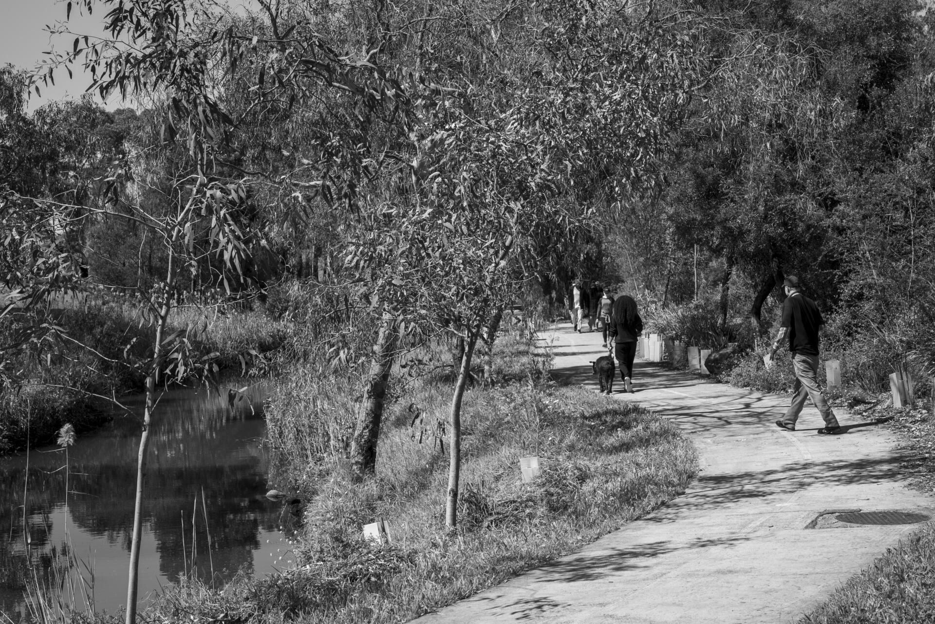 People walking along the Merri Creek trail near Ida Street, Coburg North. The creek runs from Wallan all the way through Melbourne&rsquo;s northern suburbs. Many locals use the creek trail for exercise, commuting and leisure. Most Merri Creek maintenance is done by community volunteers. The tree guards protect new plants. Photo by Ruby Perryman