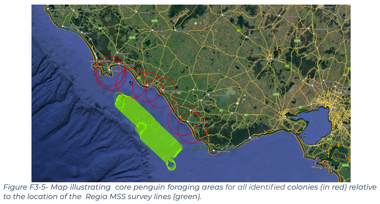 CGG&rsquo;s plans provide a 20km buffer zone (red circles) for all penguin colonies except for the Deen Maar Island colony, which has a 17km zone, in which seismic activity will not take place. Source: CGG&rsquo;s Environment Plan, Appendix F3, p 29.