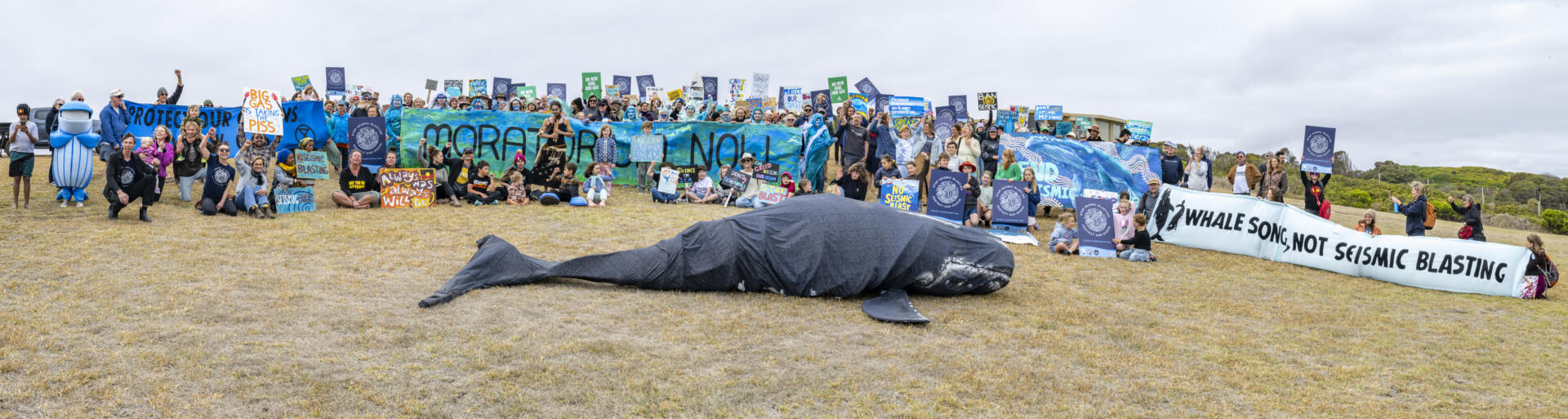 A rally demanding a national moratorium on seismic blasting was held in March this year at Logan&rsquo;s beach, where Southern Right whales nurse their calves between May and October almost every year. Warrnambool, VIC. Source: Rodney Harris Photography