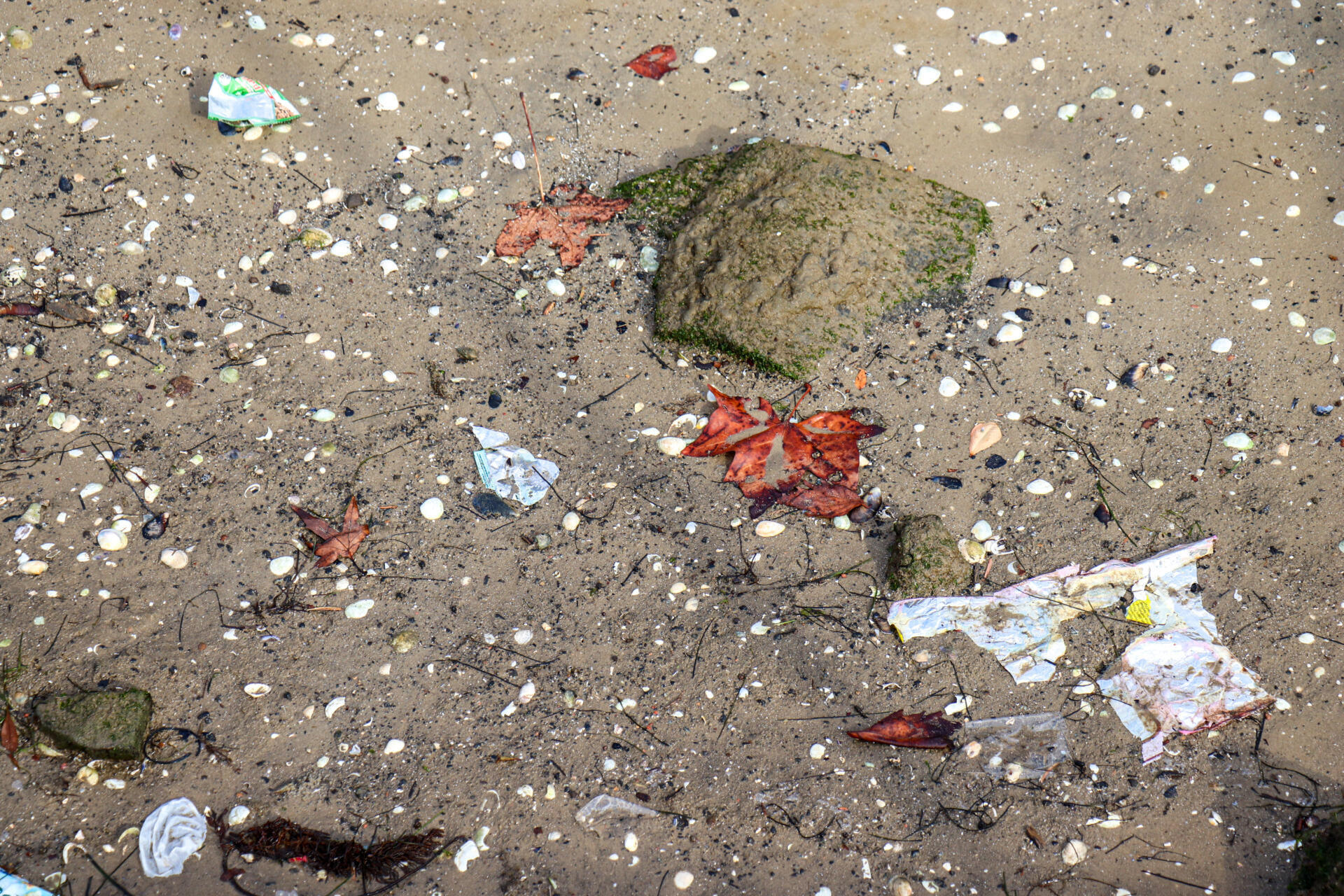Trash on the beach can be a sign of&nbsp; poor water quality and is more apparent after heavy rain.