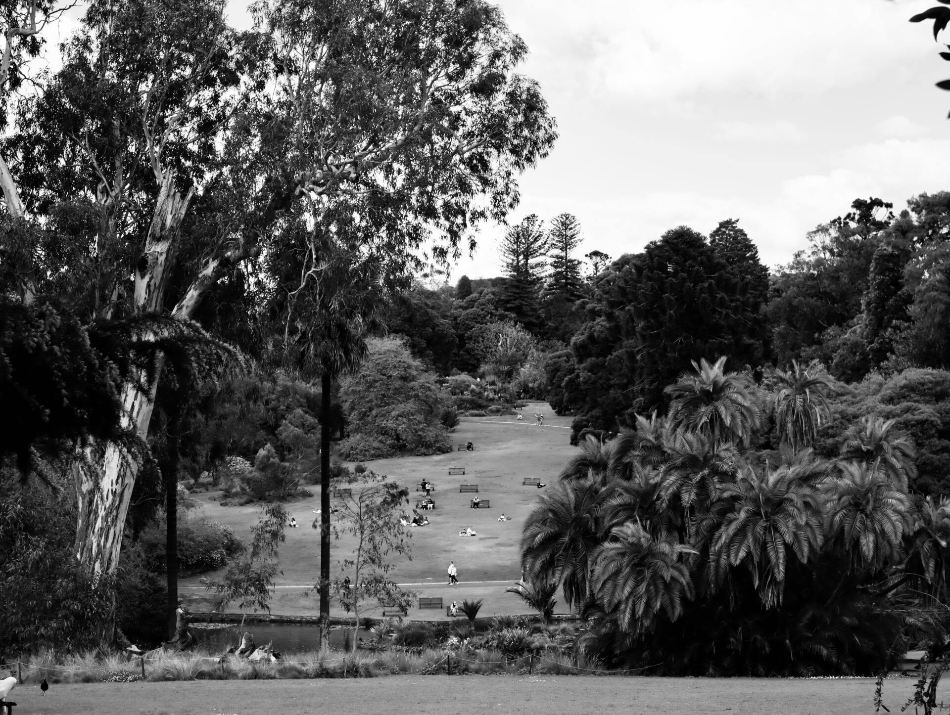 Visitors relax on the lawns of the Royal Botanic Gardens Victoria, South Yarra