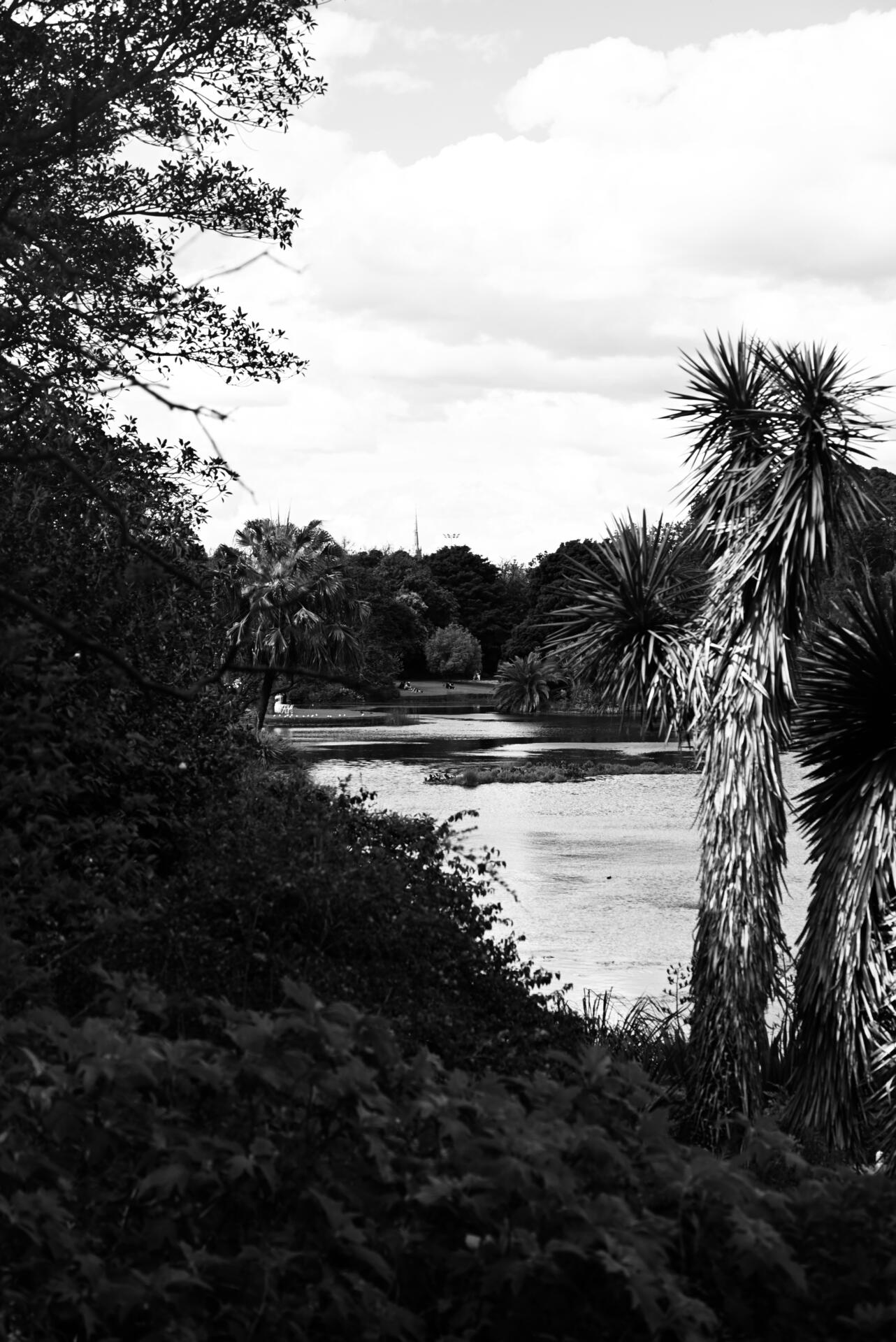 A view at the Royal Botanic Gardens Victoria, South Yarra