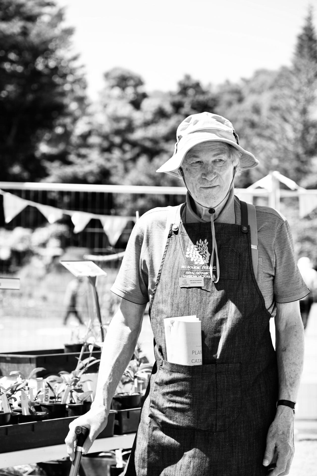 &ldquo;Growing Friends&rdquo; volunteer Ian Alexander at the Spring Plant Sale, Royal Botanic Gardens Victoria