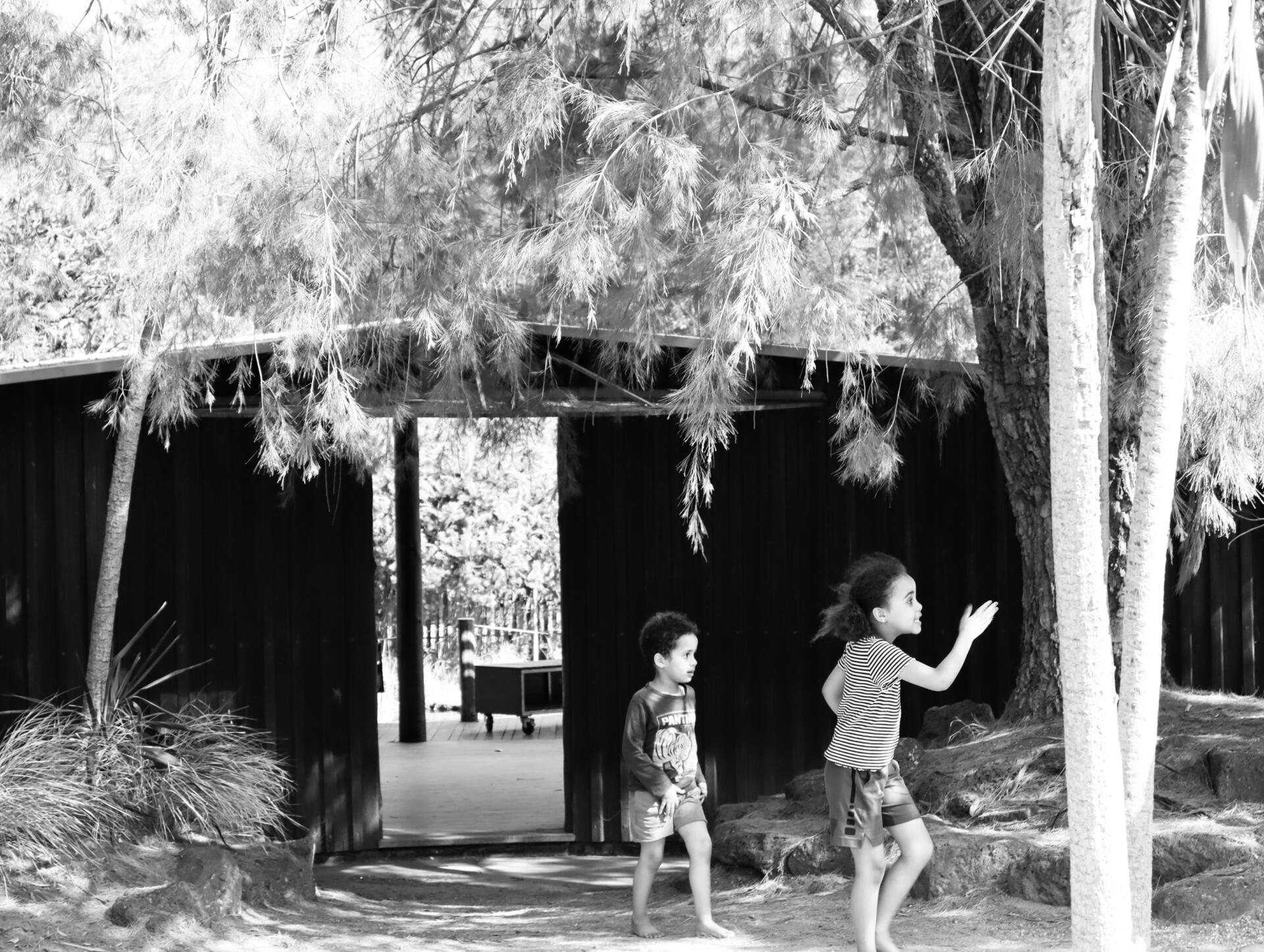 Children play at the Ian Potter Foundation