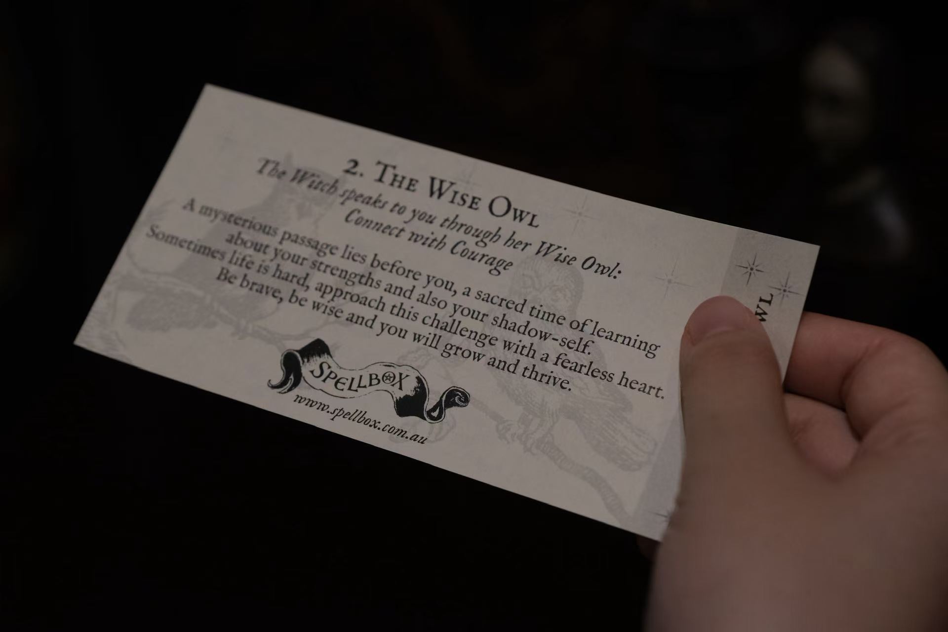 Someone holds a fortune slip at a divination shop. Photo by Wanying Ou.