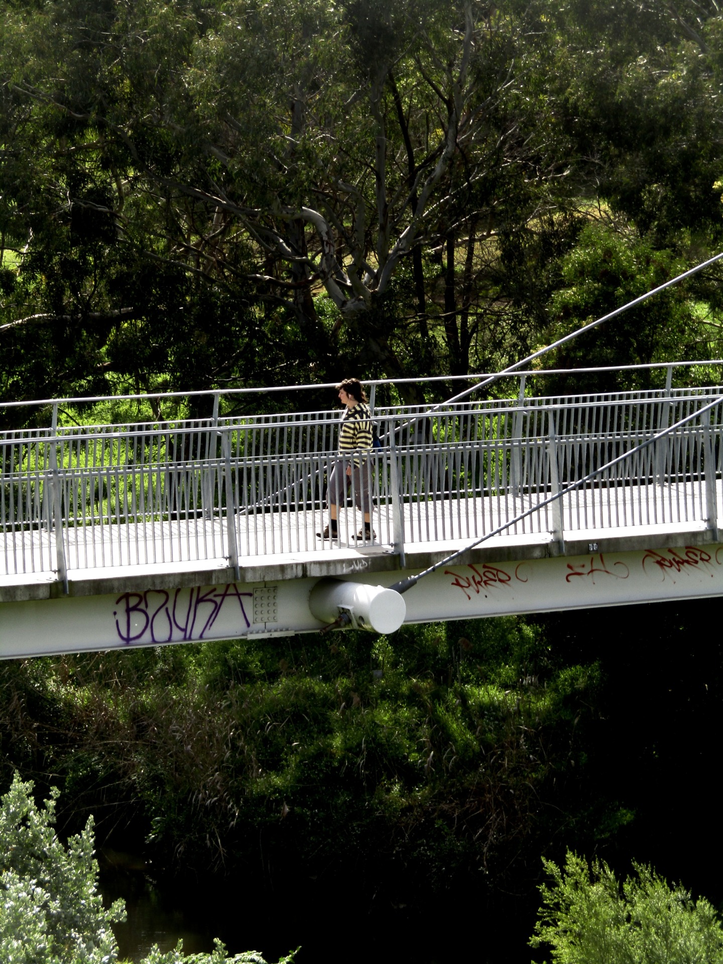 Locals and experts agree that improving infrastructure along the trail would not necessarily improve safety for women. Photo by Rhoen Kennedy.