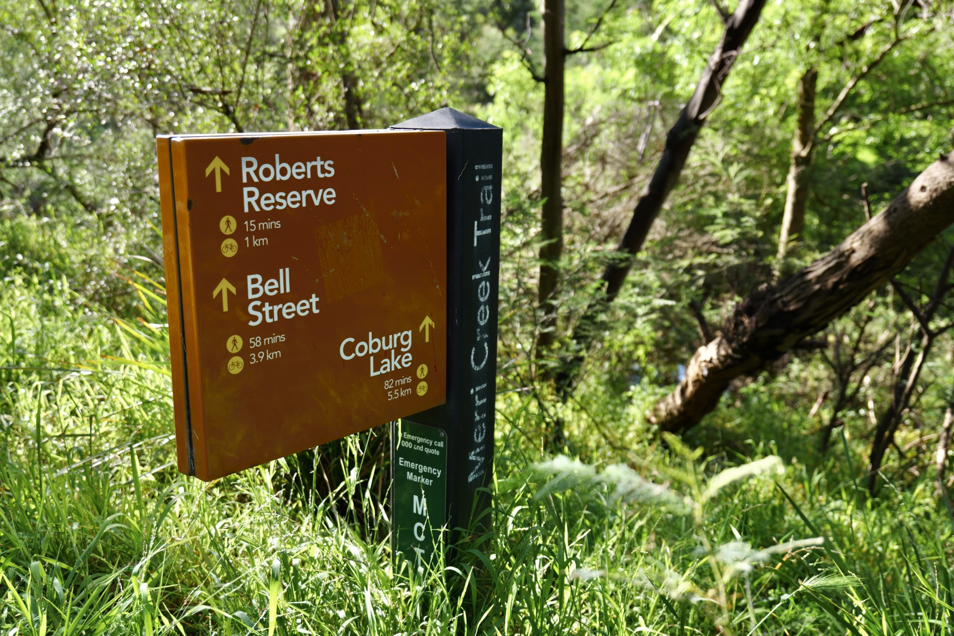 Inner city trails should be places of serenity, but safety concerns throw a dark, lingering shadow